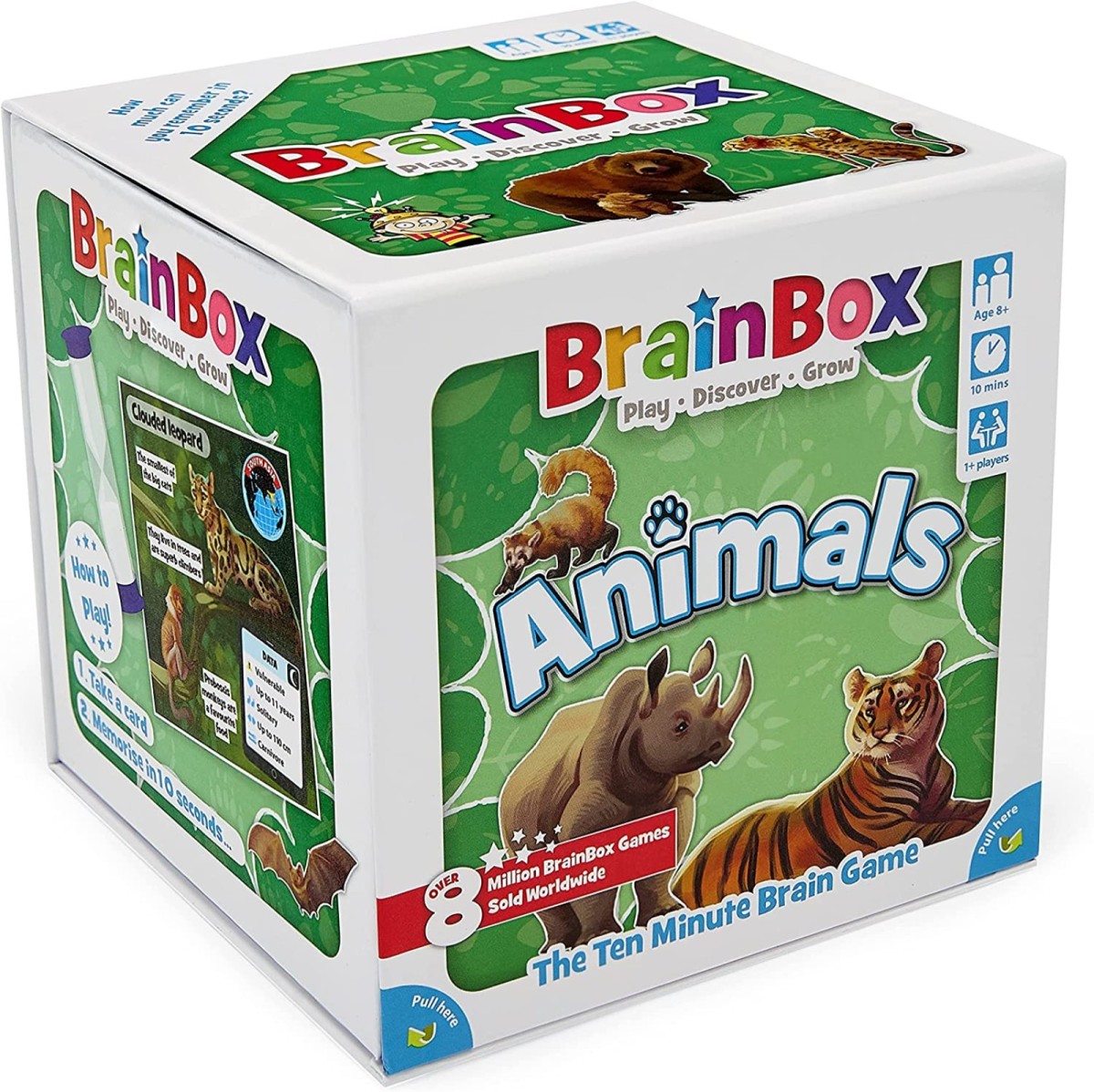 BrainBox Animals Game - Bright Star Toys