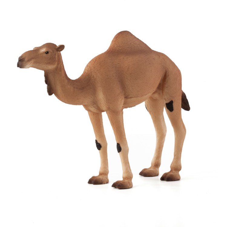 Mojo Animal Planet Figure - Arabian Camel