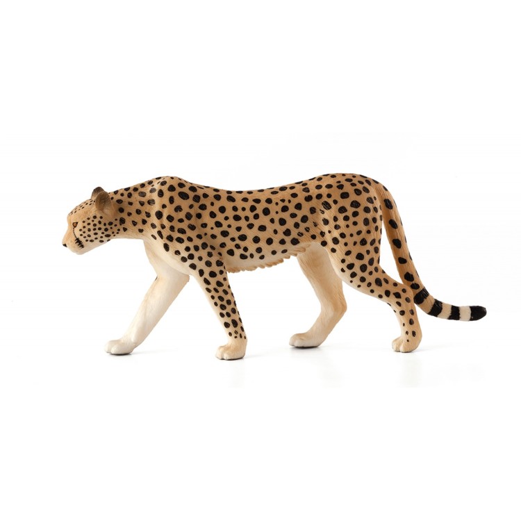 Animal Planet Cheetah Male