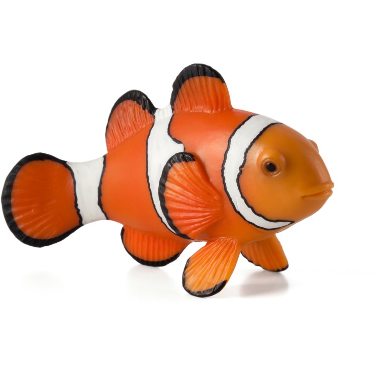 Animal Planet Clown Fish