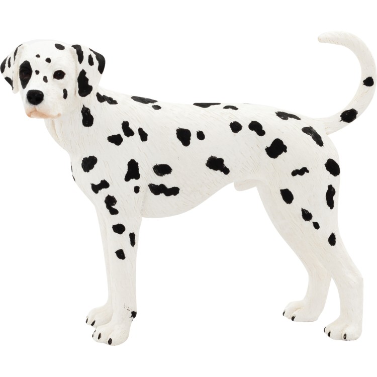 Animal Planet Dalmatian