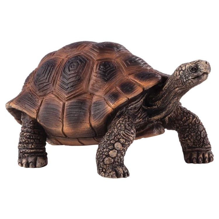 Animal Planet Giant Tortoise