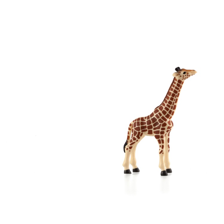 Animal Planet Giraffe Calf