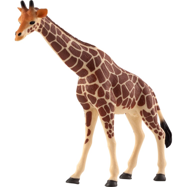 Animal Planet Giraffe