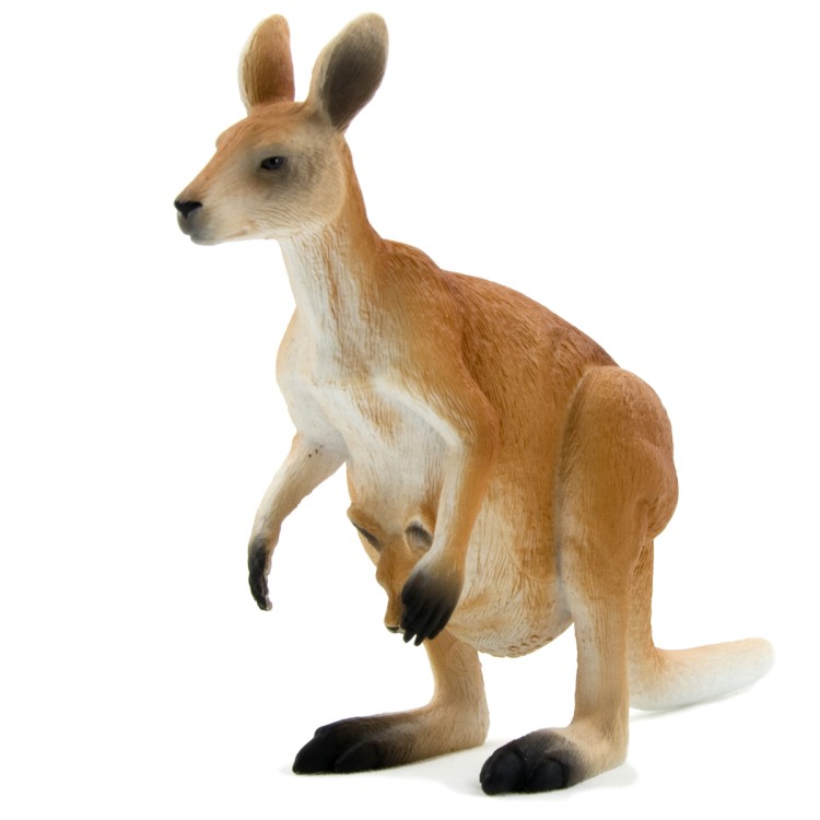Animal Planet Kangaroo