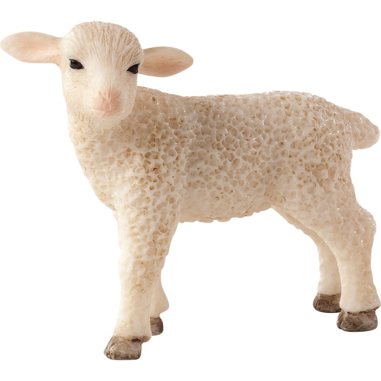 Animal Planet Lamb Standing