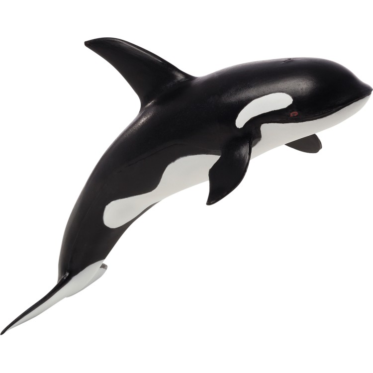 Animal Planet Orca Large - Bright Star Toys Animal Planet Orca Large - Bright Star Toys