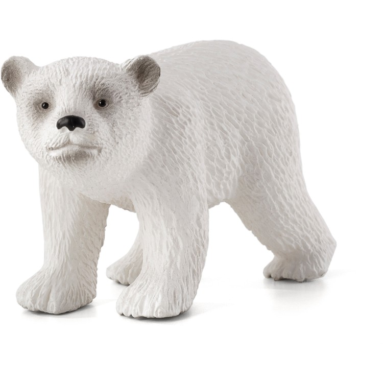 Animal Planet Polar Bear Cub Walking