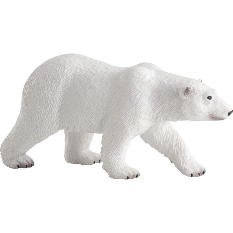Animal Planet Polar Bear