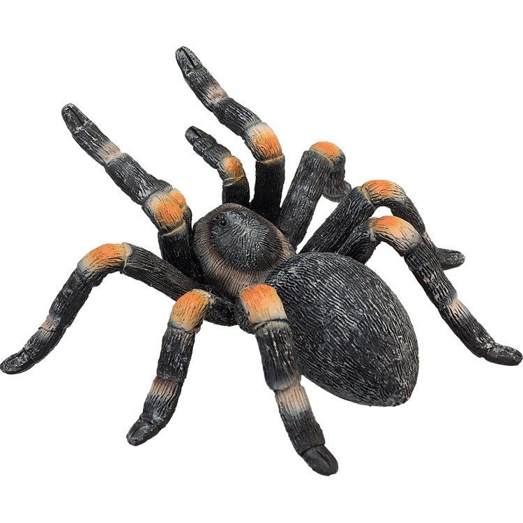 Animal Planet Red Kneed Tarantula Figure Bright Star Toys
