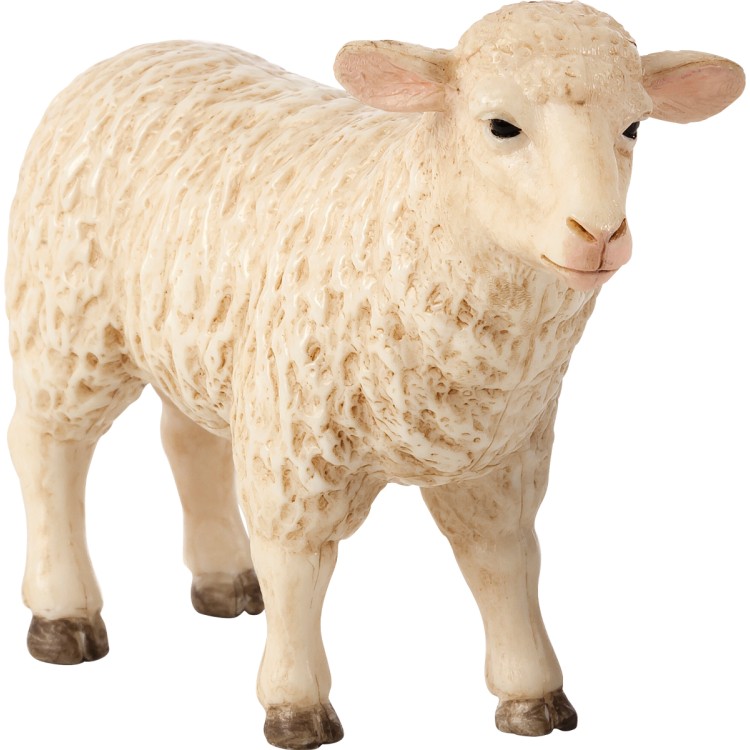 Animal Planet Sheep Ewe
