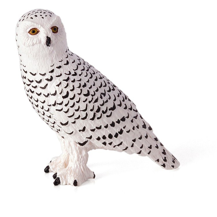 Animal Planet Snowy Owl