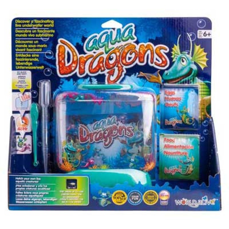 Aqua Dragons Underwater World