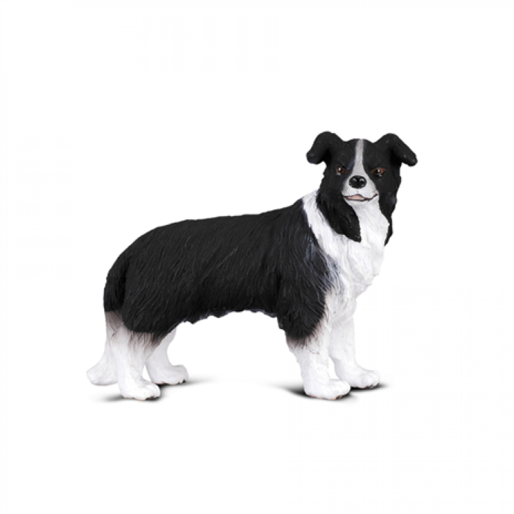 CollectA  Border Collie Figure