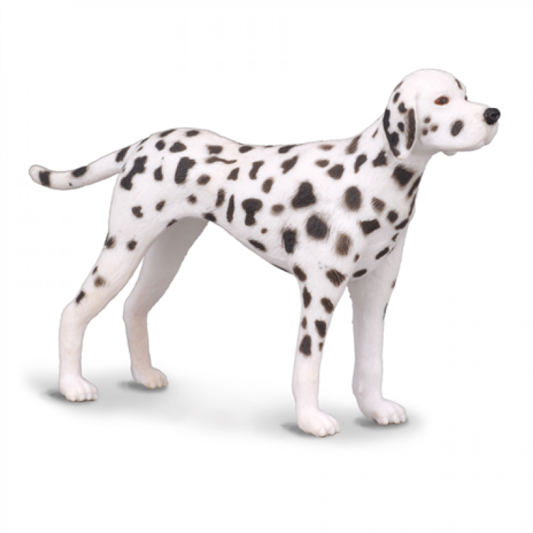 CollectA  Dalmatian Figure