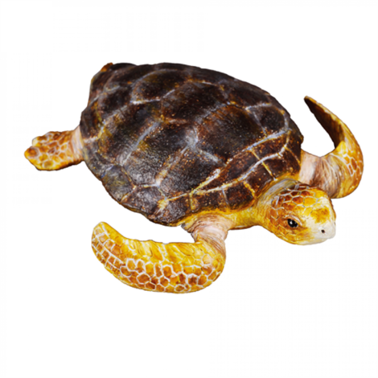 CollectA  Loggerhead Turtle Figure