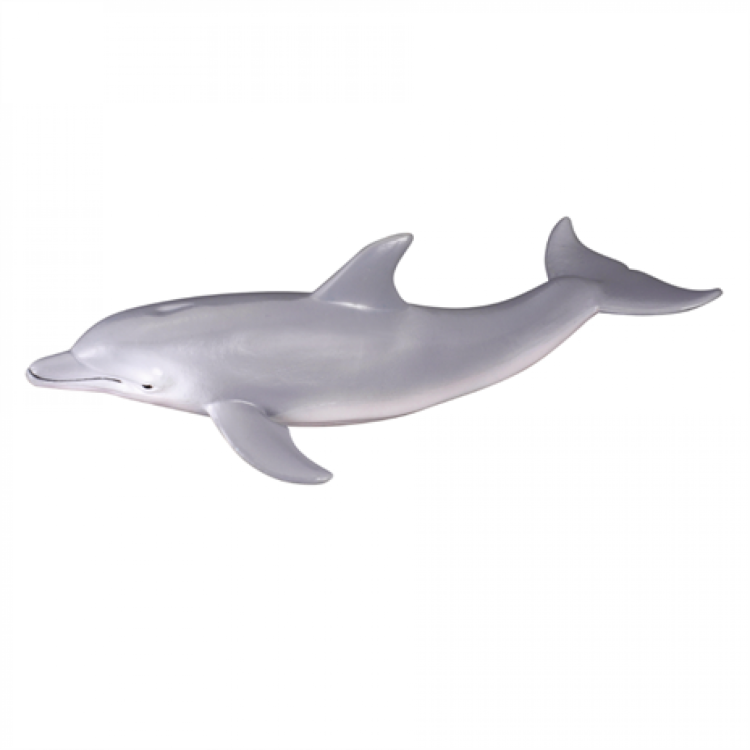 CollectA Bottlenose Dolphin Figure