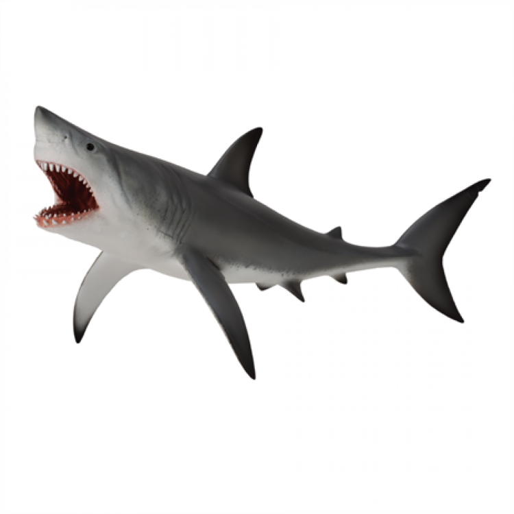 CollectA Great White Shark with Open Mouth Figure