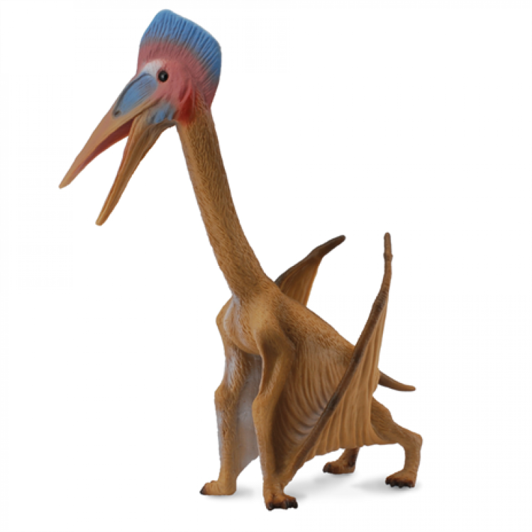 CollectA Hatzegopteryx Dinosaur Figure