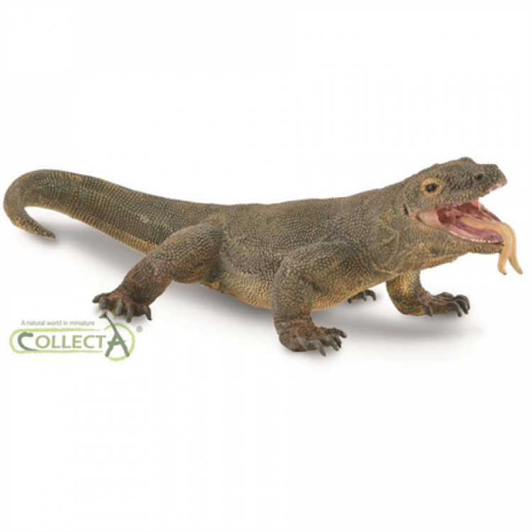 CollectA Komodo Dragon Figure