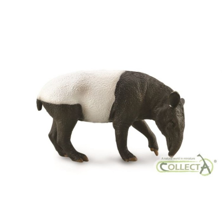 CollectA Malayan Tapir Figure