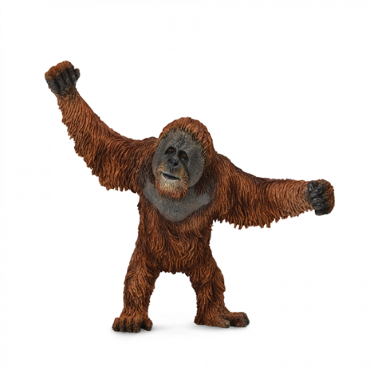 CollectA Orangutan Figure