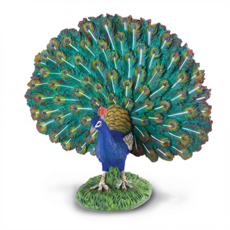 CollectA Peacock Figure