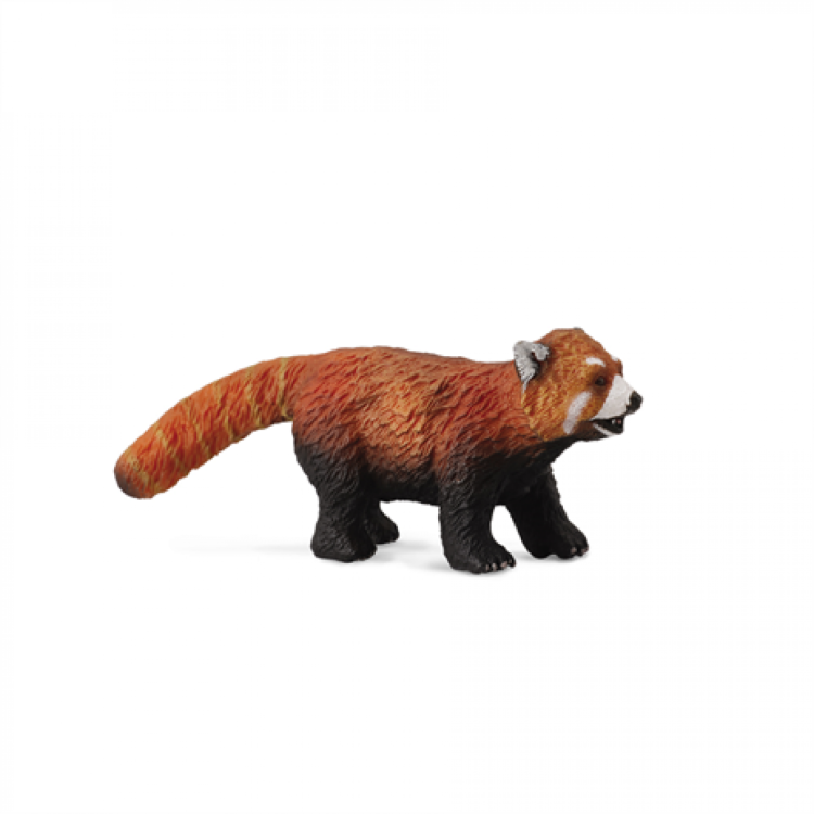 CollectA Red Panda Figure