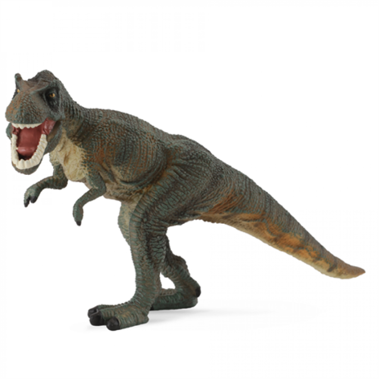 CollectA Tyrannosaurus Rex Dinosaur Figure