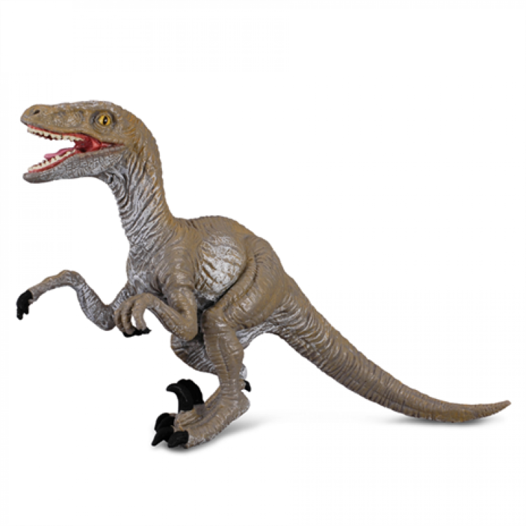 CollectA Velociraptor Dinosaur Figure