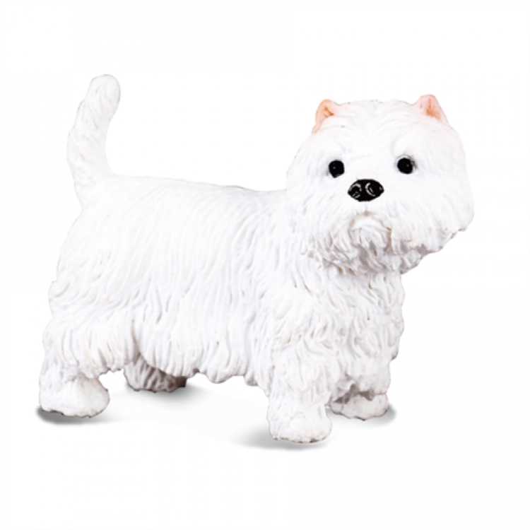 CollectA West Highland White Westie Figure