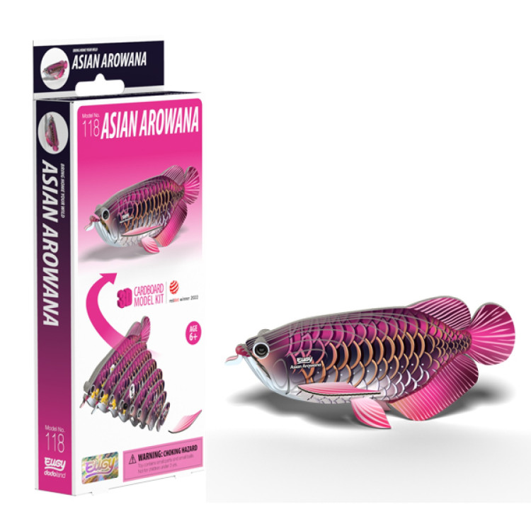 Eugy Card model Kit - Asian Arowana