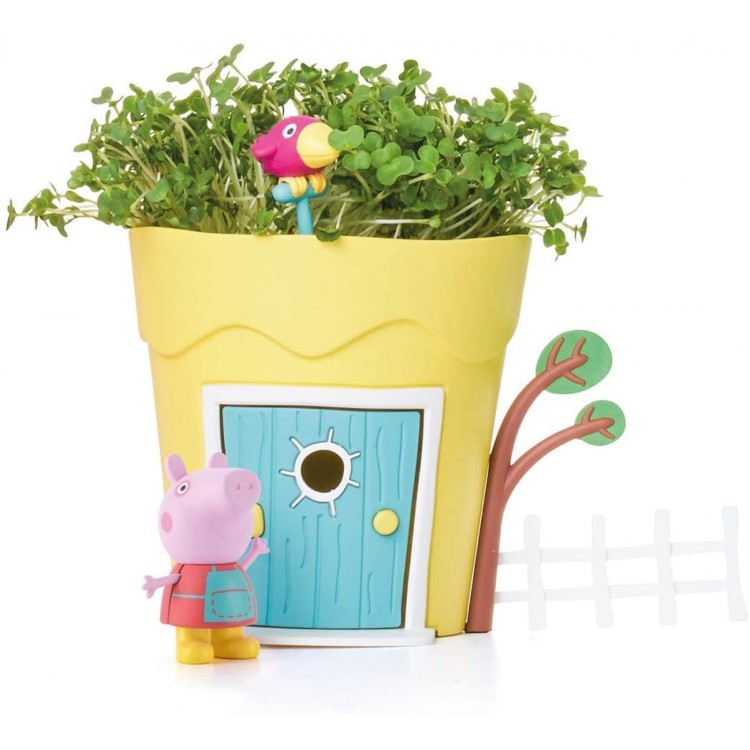 Peppa Pig Growing Pot Peppa