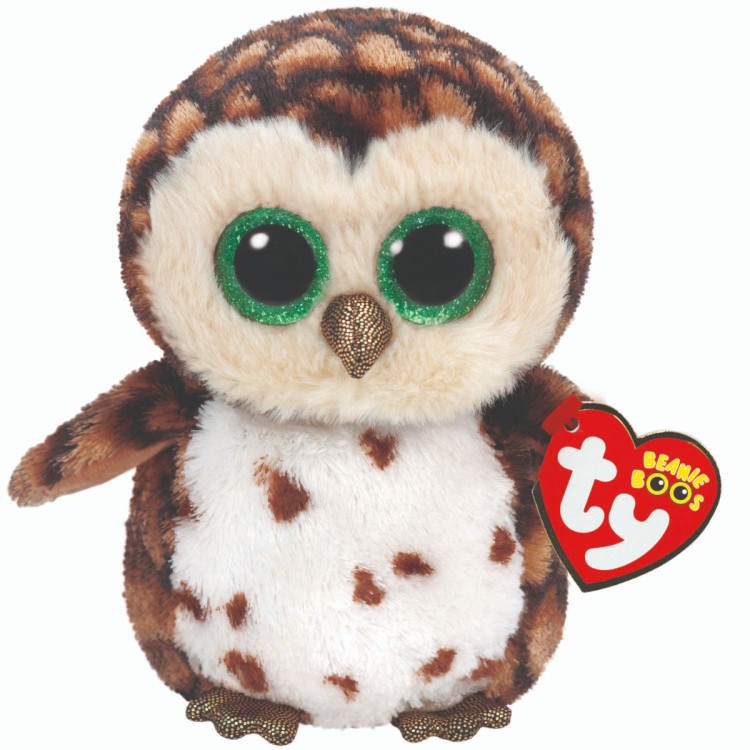 TY Sammy the Owl Beanie Boo Regular Size