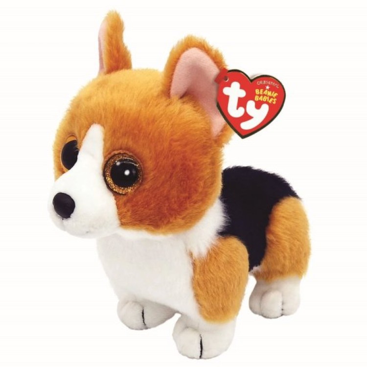 TY Colin the Corgi Original Beanie Regular Size